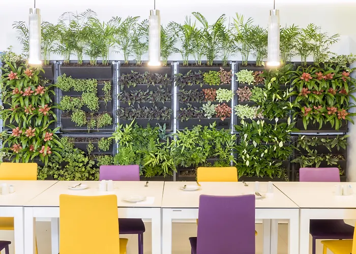 Caserio מלון פלאייה דל אינגלז